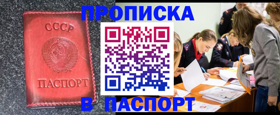прописка для школы в Мурино